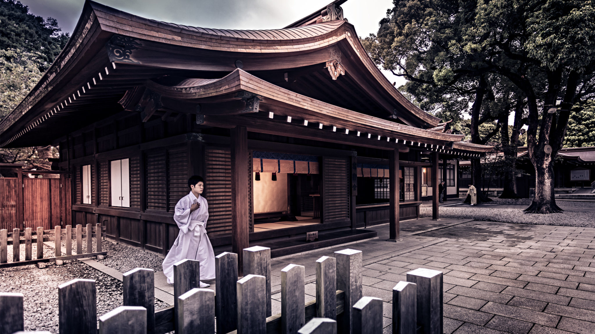 Meiji Shrine Tokyo Photography