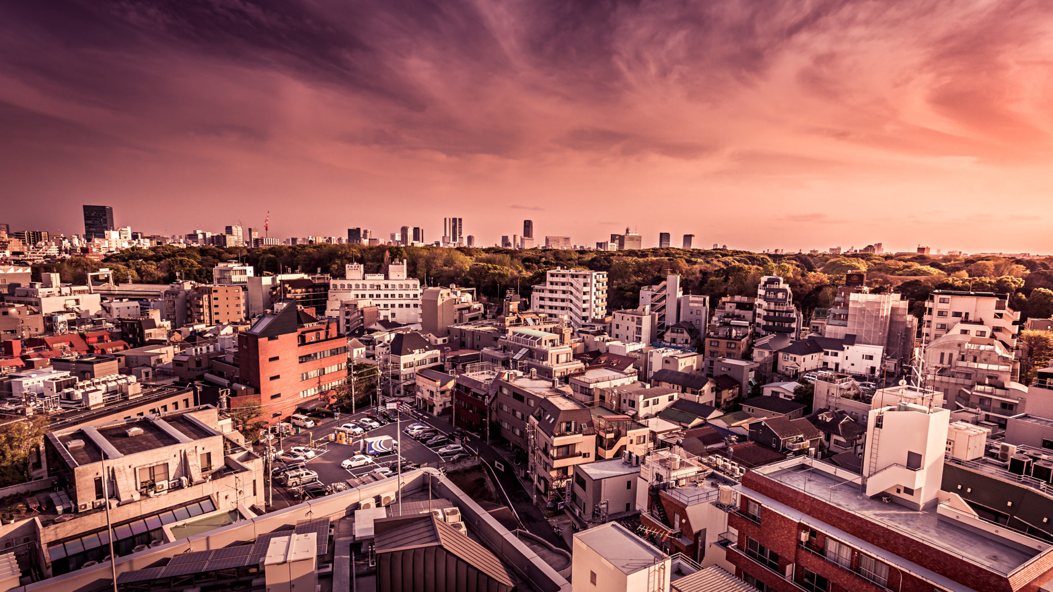 Stay in Yoyogi Park Tokyo