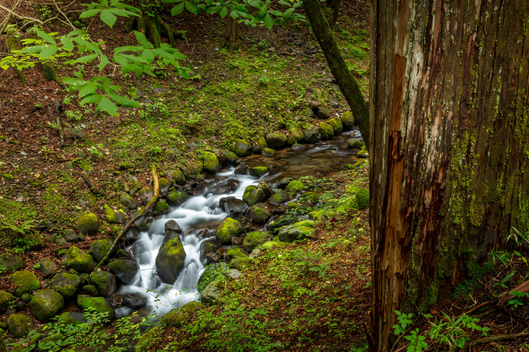 Waterfall in Nikko Japan