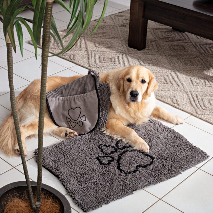 product photography with golden retriever