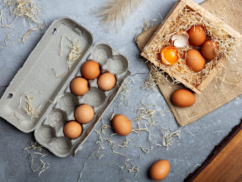 Rustic Egg Photo