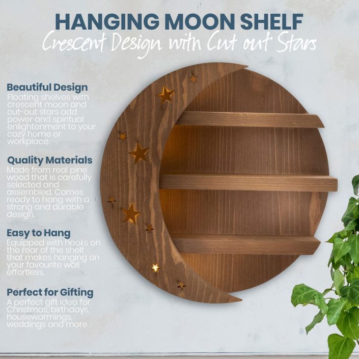 Amazon Moon Shelf Infographic