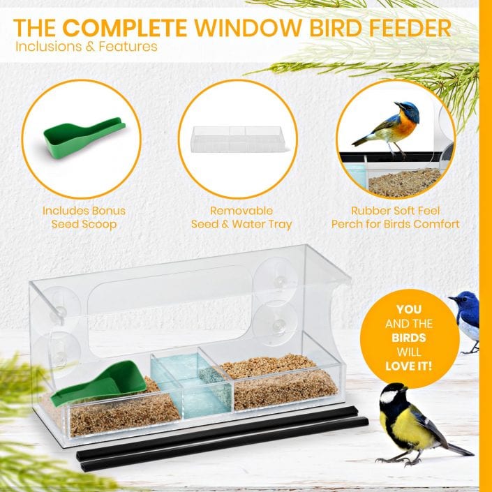 Suction Bird Feeder Infographic