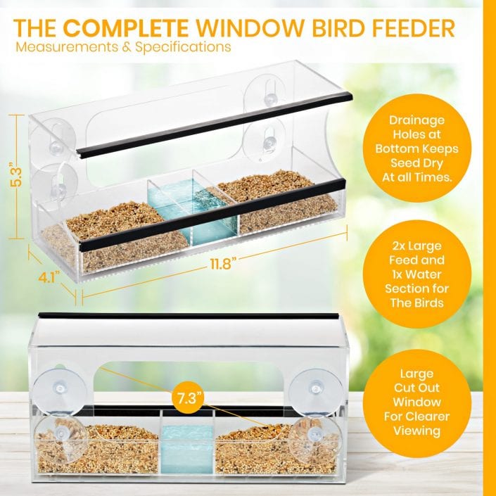 Suction Bird Feeder Infographic